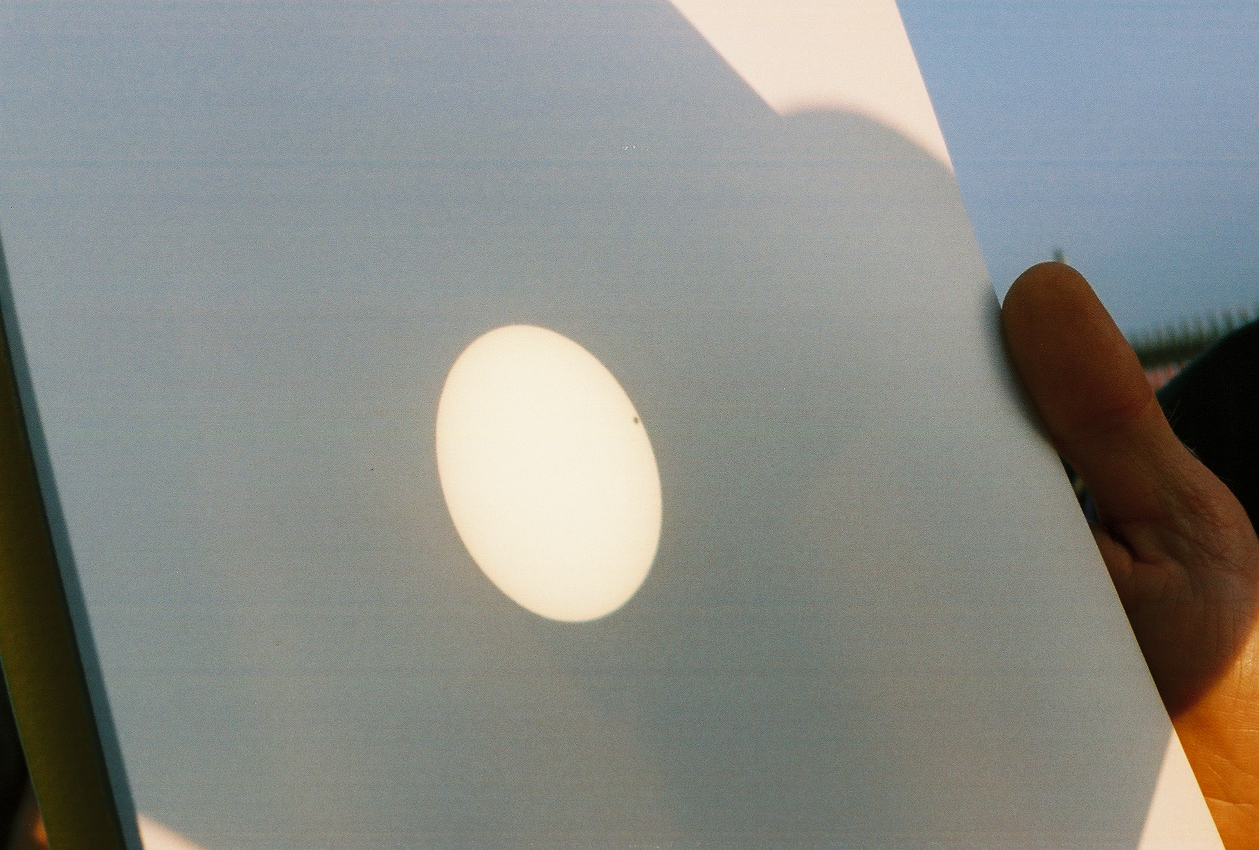Transit of Venus image, projected on a white card